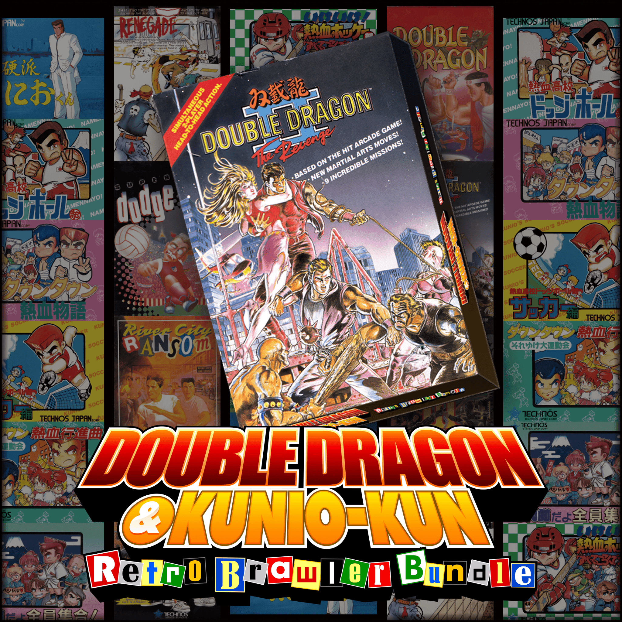DOUBLE DRAGON â…¡: The Revenge